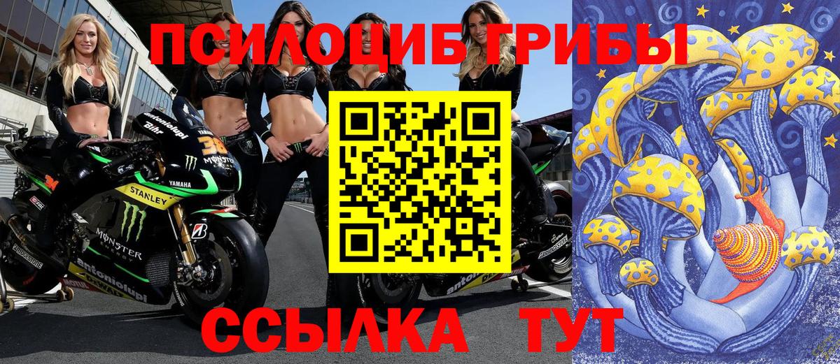 Галлюциногенные грибы мицелий Реутов